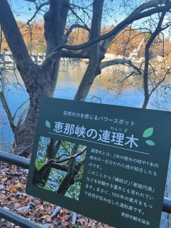 恵那市観光協会が設置した看板＝恵那市の大井ダム湖畔で
