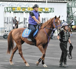 レイデオロ　たてがみ Amazon | ディーアールシー(DRC) MOTOLED エッジテールライト
