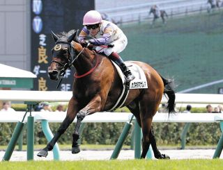 デビュー2連勝中のカワキタマナレア、荒れた馬場でも軽快な脚さばき見せる【ファンタジーS追い切り】
