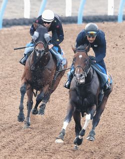 女性騎手・古川奈穂 デビュー12戦目で喜びの初勝利「格別です」再開した有観客レースで雄姿【阪神競馬】：中日スポーツ・東京中日スポーツ