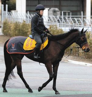 小泉恵未コラム】東京大賞典でのフォーエバーヤングの姿…坂井瑠星騎手