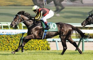 アスコリピチェーノ、コラソンビートがオーストラリアの高額賞金レース『ゴールデンイーグル』出走【競馬】