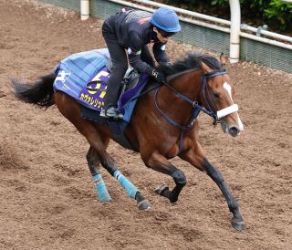 このとき『ダービー馬になる』と予見していた方はいましたか？」JRA