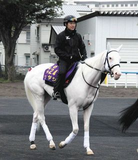 ソダシ札幌記念が古馬と初対戦 厩舎長「さらにいい状態で送り出すことができた」【村本浩平コラム】