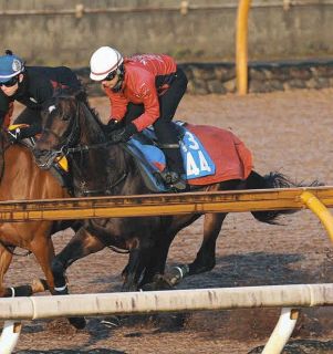 2002年皐月賞馬、ノーリーズン死す 25歳 通算12戦3勝：中日スポーツ