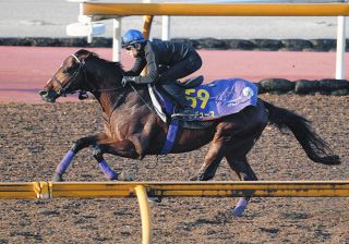 ドバイターフ】パンサラッサが同着V…吉田豊はデットーリと仲良く表彰台、矢作厩舎はドバイワールドカップデー3勝目：中日スポーツ・東京中日スポーツ