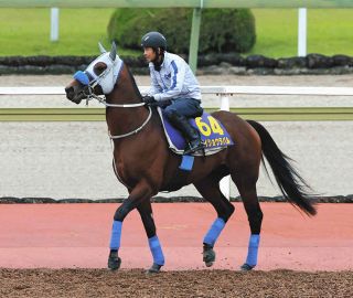 ドバイシーマクラシック】ダービー馬シャフリヤールが完勝…C