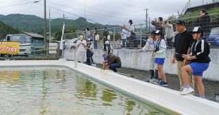 プールでニジマス釣ったよ！　浜松市・奥山小で300匹を放流、子どもたちの歓声上がる