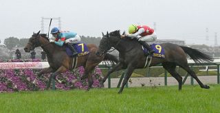 有馬記念】代打男・池添謙一の執念は実らず…カレンブーケドール