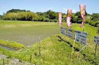 住民による建設反対ののぼり旗や看板が立つ候補地だった農地＝中津川市千旦林で