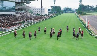 JRAが新潟競馬“条件付き”入場再開へ　事前にネットで指定席を購入した新潟県内在住者に限定