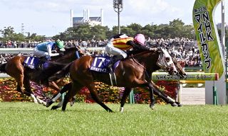 京都記念追い切り】エフフォーリアに王者の風格 横山武が持ったまま2