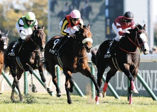 オグリにディープ…名馬がズラリ並ぶ切手発行 競馬法100周年記念【中央競馬】競馬法100周年：中日スポーツ・東京中日スポーツ