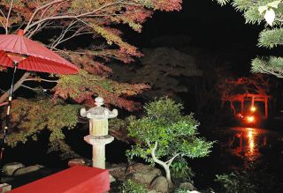 明かりが照らし出す夜の紅葉　松阪・旧長谷川治郎兵衛家でライトアップ