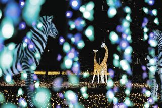 なばなの里で17日から冬恒例のイルミネーション　今年のメインテーマは「野生の王国」