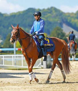 昭和52年 宝塚記念 トウショウボーイ 武邦彦 昭和52年 宝塚記念 トウショウボーイ 武邦彦 昭和52年 宝塚記念