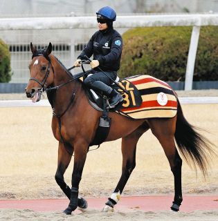 迫る新種牡馬産駒の2歳馬デビュー サトノダイヤモンドらに加えて実績