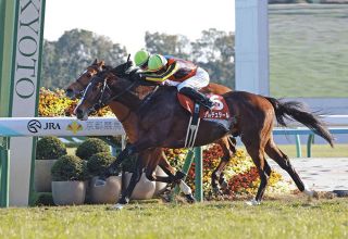 昭和52年 宝塚記念 トウショウボーイ 武邦彦 昭和52年 宝塚記念 トウショウボーイ 武邦彦 昭和52年 宝塚記念