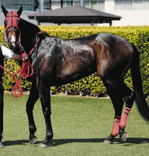 このとき『ダービー馬になる』と予見していた方はいましたか？」JRA