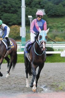 未開封　JRA 競馬　キタサンブラック　武豊　イクイノックス イクイノックス 選定対象初年度いきなり殿堂入り! キタサン