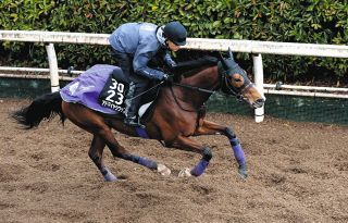 皐月賞】エフフォーリアが無傷4連勝で圧巻V「最高です」初G1制覇の横山