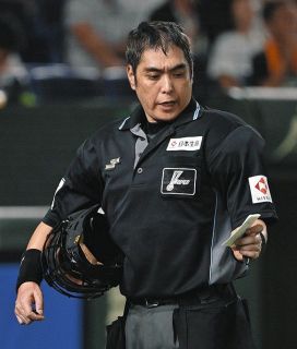 阪神　新井貴浩　実用スパイク 新井 貴浩