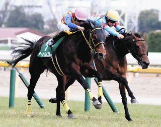 廣崎利洋オーナーは5度目のG1優勝 阪神では2015年桜花賞のレッツゴードンキ以来【菊花賞】:中日スポーツ・東京中日スポーツ