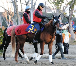 阪神2R】北村友一が落馬負傷で乗り代わり、天皇賞・春のディアスティマ