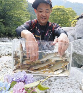 アユロード　第2章　＜26＞　入れ掛かり天国への階段　岐阜県下呂市の竹原川