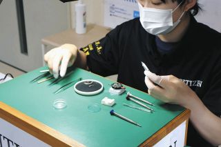 全国大会を前に磨いた技能を披露　飯田市役所で出場のシチズン社員