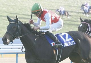 【桜花賞】2歳女王アルマヴェローチェG1連覇へ視界良好、岩田望｢馬体が一回り大きくなってくれた感じがします。成長を感じる追い切り｣