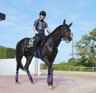 【値下対応可☻コメント欄にて】武豊ジョッキー、スポーツ紙記事まとめ 値下対応可☻コメント欄にて】武豊ジョッキー、スポーツ紙記事