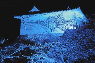 亀山城多門櫓と桜を青白く　世界自閉症啓発デー