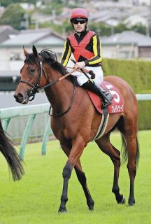 レモンポップ、地力見せつけJpn1昇格レース制す 坂井瑠「記念す