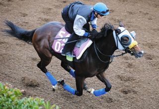 【アルテミスS・追い切り】ファミーリエ坂路最終追い4F58秒1―12秒9　清水久師「予定していたよりも遅くなりましたが…問題ないでしょう」