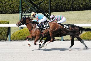 クロワデュノール　メイクデビュー（新馬戦）　現地的中単勝馬券　⭐︎ホープフルS制覇 クロワデュノール メイクデビュー（新馬戦） 現地的中単勝馬券