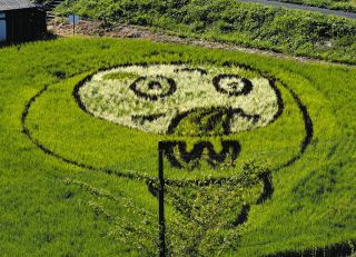田んぼのミーモくん、気球から見たら……　岐阜県御嵩町でアート見頃迎え空中散歩イベント