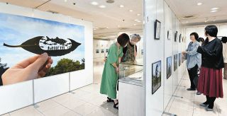 師とともに 色絵磁器に情熱 追悼・海部公子さん：北陸中日新聞Web