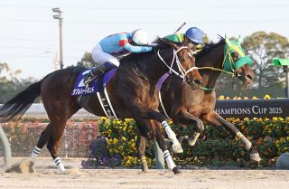 亡き父から「『いい仕事したな』と珍しく褒めてもらえた気がした