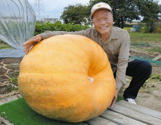 自慢の「どでカボチャ」重さ推定300キロ超に　蟹江町の永井さん栽培、巨大さ競う大会出品へ