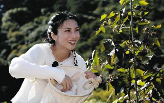 ふしぎ駄菓子屋銭天堂」の世界へ 児童に人気、藤枝で展覧会：中日新聞