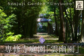 聖人に至る、緑の浄土　専修寺雲幽園（三重県津市）　中部の庭園特集「庭～THE GARDEN」