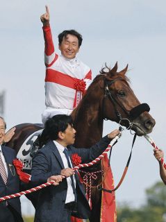 函館スプリントSで1番人気8着のナムラクレア スプリンターズSに