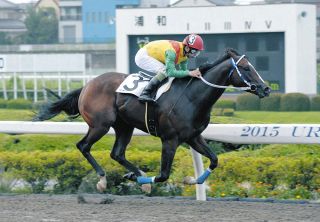 アーモンドアイが“世紀の一戦”ジャパンカップで有終の美…コン
