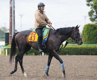 武豊インタビュー「やっぱりサイレンススズカの金鯱賞は衝撃的だった