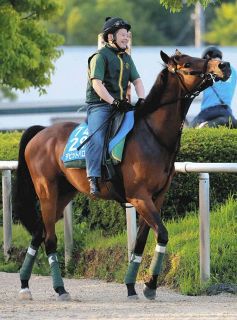 ハーツクライ死す 22歳 2005年の有馬記念、06年のドバイシーマ