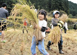 実りの秋、稲刈りで親子連れら汗　郡上市和良町で「田んぼオーナー」体験