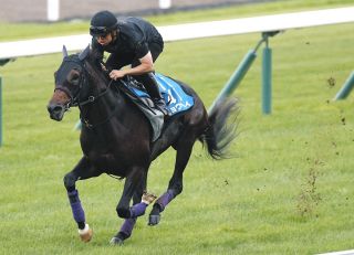 西村淳也、初のG1勝利へ騎乗4戦負け知らずのエルトンバローズとタッグ