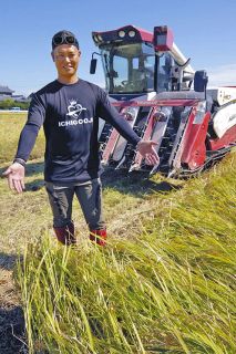 北谷を“山菜の里”に」 勝山で山菜オオナルコユリ栽培 ：日刊県民福井Web