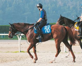 ドウデュース、秋は国内路線に専念し年内引退へ 松島オーナー